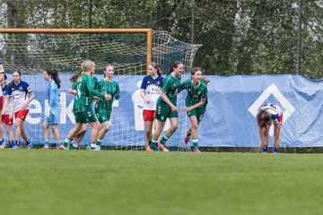Bild 187 - wBJ Hamburger SV - SV Werder Bremen : Ergebnis: 2:2